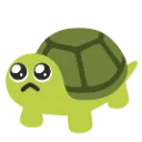 pleading_tutle