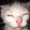 huh huh