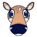 juniperhuh