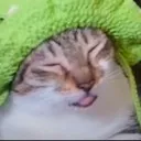 bleh bleh