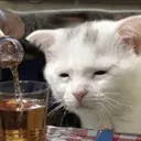 suffering