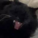 freyjaaaaa