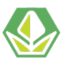 A green hexagon containing sharp, angular yellow and green geometric shapes.
