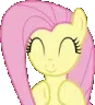 fluttershyclap