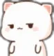 nyacoco