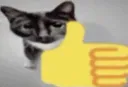 ogey