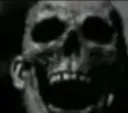 IMG_2963