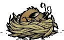 warreneepy