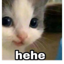 cathehe custom emote - RIZZ HEAVEN | Chill • E-Dating • VC • Events • Friends • Giveaways