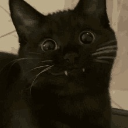 mifauu Discord emoji