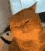 yapapa Discord emoji