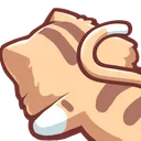 cfaceplant