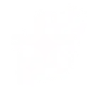 white_Sparkle_LASTNIGHT