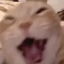 emoji_82 emoji_82