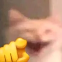 PointLaughCat