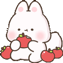 applesmm