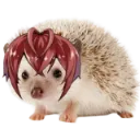 0_riddlehedgehog