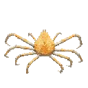 spin