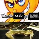 whenthecrabgot