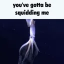 squiddingme
