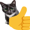 cat_thumbsup