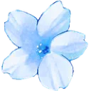 14_Blue_Catcafe_1