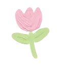 :33520pinkflower: