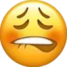 uff1