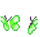 irl_butterfly_lightgreen