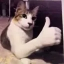 ok