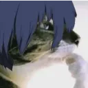 Makoto_think_cat