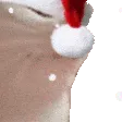 christmascatjam