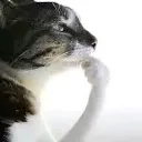 emoji_5