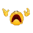 NOOO NOOO
