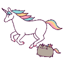 1pinkpusheenunicornarun