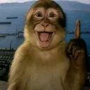 monke