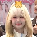hamhamhappy
