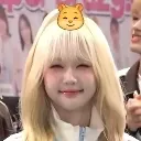 :hamhamhappy: