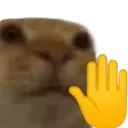 Halt