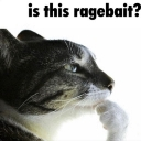 Ragebait Discord emoji