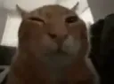 buhcheck