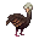 SmallTurkeyPetPS