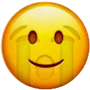 cryin_internally