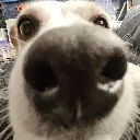 roscoehiii roscoehiii