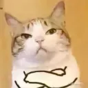 FunnyCatMemesTShirtwithFishDesig