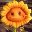 sunflowerstare