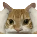 omdauNAOMI