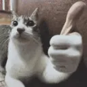 cuhthumbsup