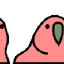 parrot