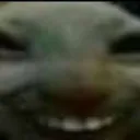 Xd